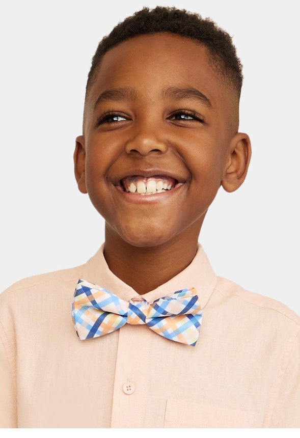 Plaid Bow Tie Multi