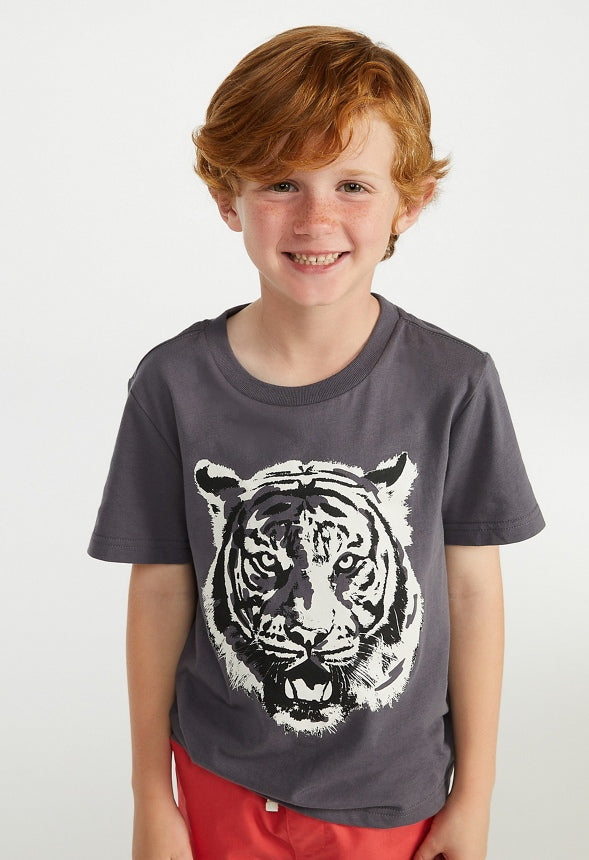 Multicolor Tiger Tee Gray