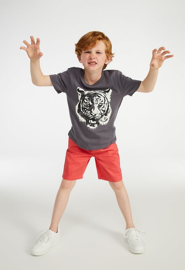 Multicolor Tiger Tee Gray
