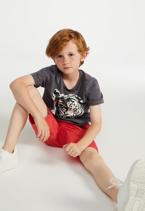 Multicolor Tiger Tee Gray